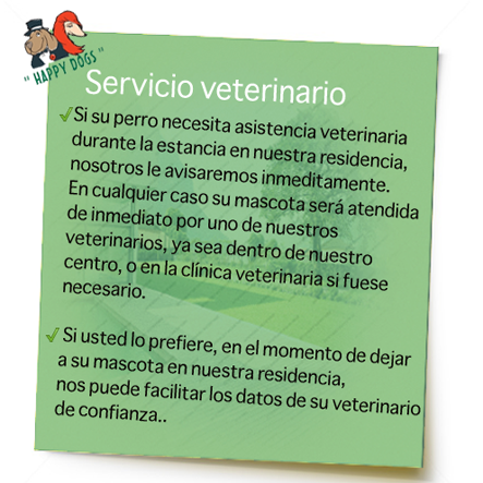 veterinario-residencia-canina